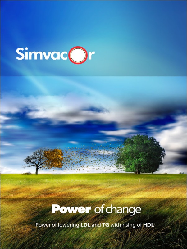 Simvacore_Brochure_cover_by_AlGafy