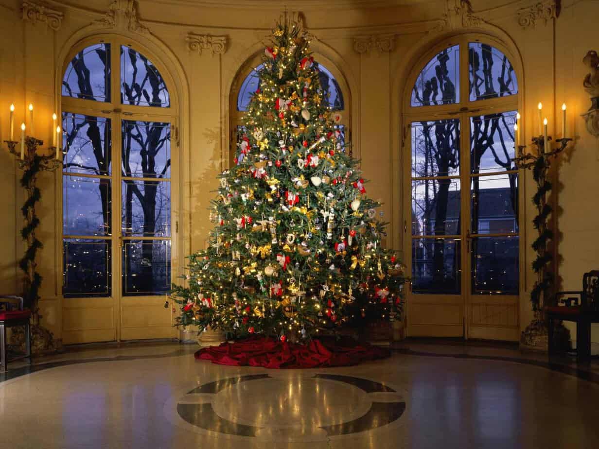 Elegant Picture Of Christmas Tree