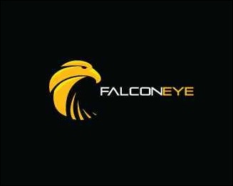 falcon-eye-solutions