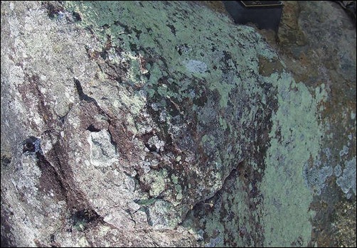 rock-moss-texture