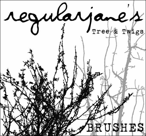 brush-pack-and-twigs-