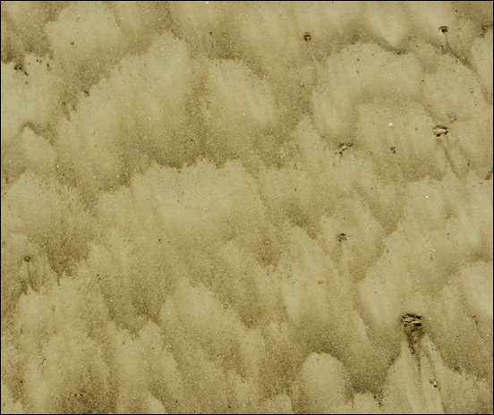 sand-texture[9]