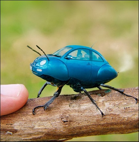vw-beetle