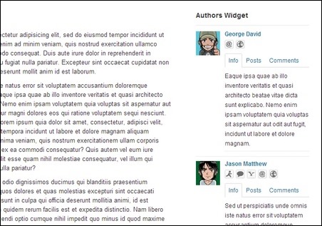 authors-widget
