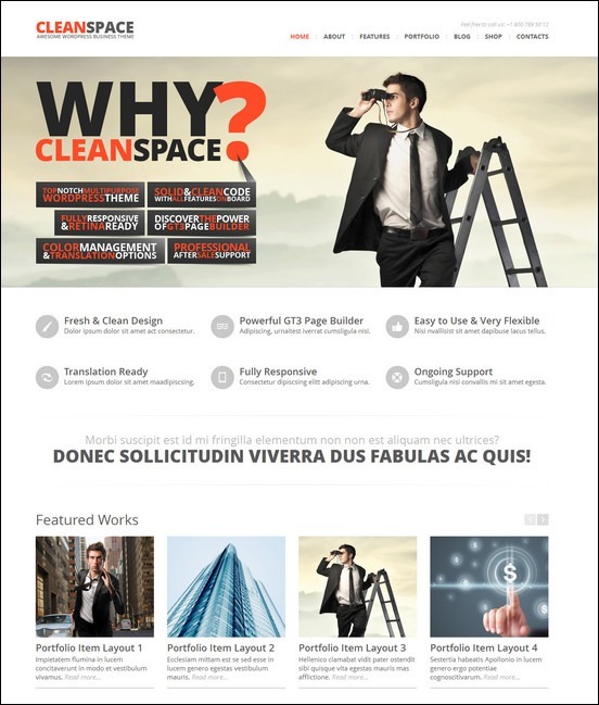 cleanspace-retina-ready-business-wp-theme