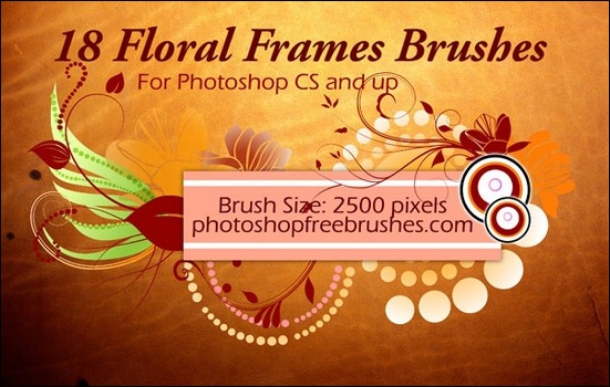18-floral-frame-ps-brushes