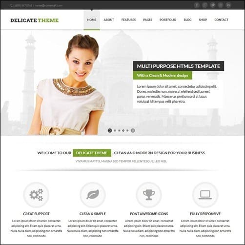 Delicate business website template