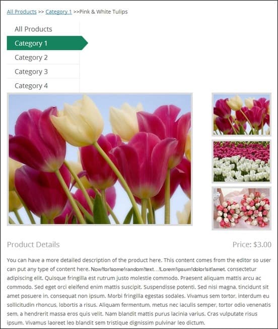Sample-Product-Page-with-Post-and-ImagesSample-Product-Post-within-Page-with-Descriptive-Text-and-Images