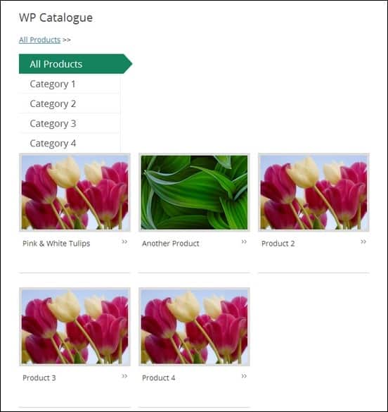 Sample-Product-Page-using-WP-Catalogue