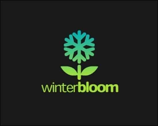 WinterBloom