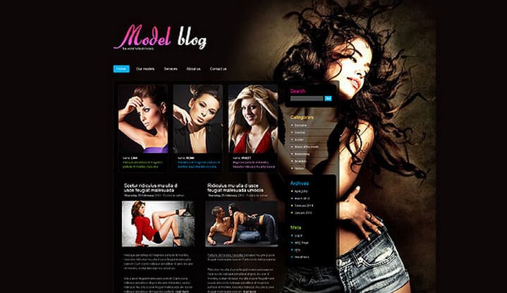 55+ Super Nice and Sexy WordPress Themes for Female Bloggers