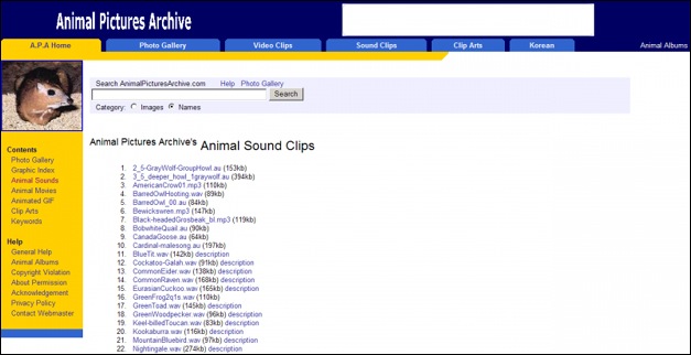 Animal Sounds