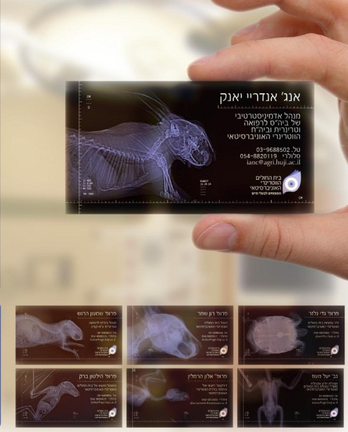 Vets X-Ray Card