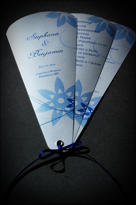 Fan-Program