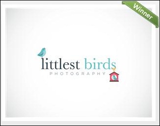 Logo For Photography Business
