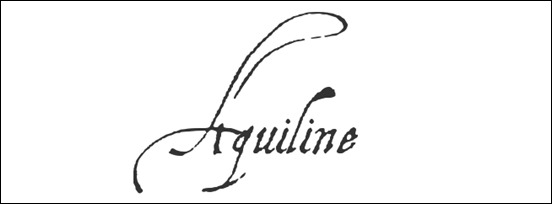 aquiline