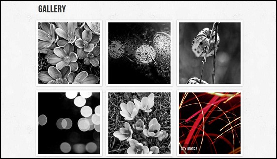 create-your-poftfolio-gallery-using-hmlt5-and-css3