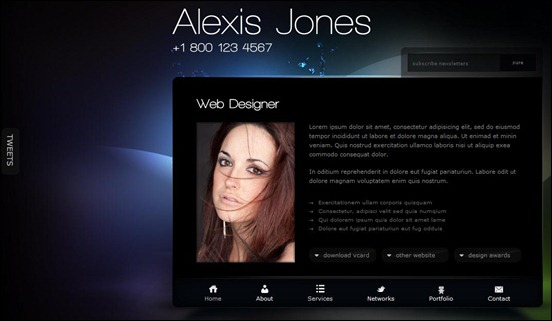 Stylish vcard WordPress