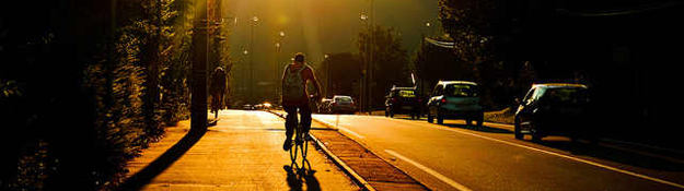40 Heartwarming Backlit Photography Showcase
