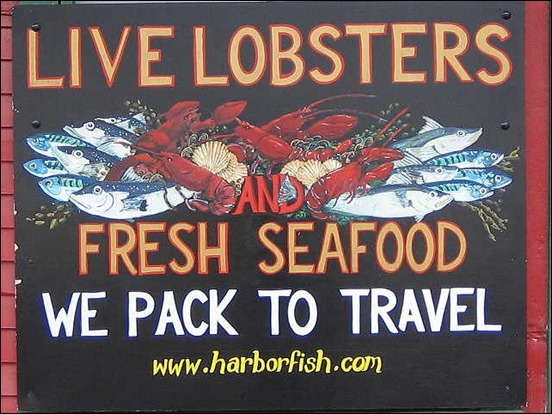 harbor-fish
