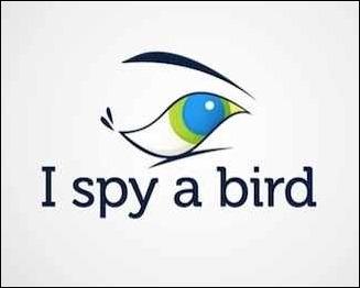 i-spy-a-bird