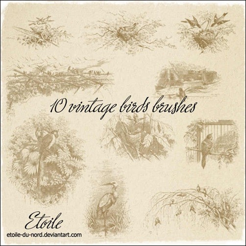 10-vintage-birds-brushes