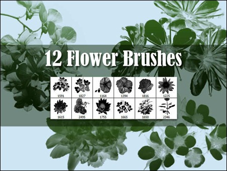 12-flower-brushes