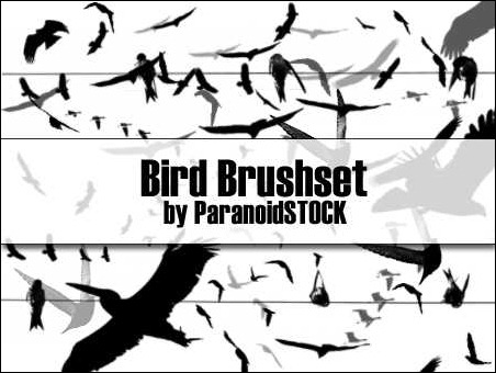 bird-brush-set