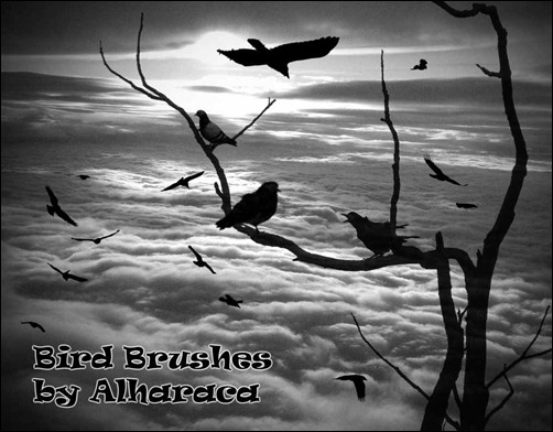 bird-brushes[9]