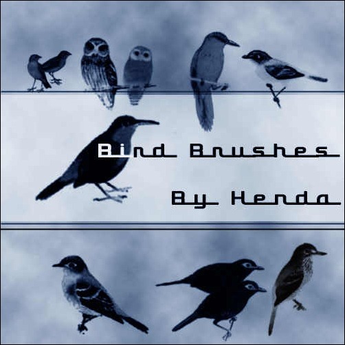 bird-brushes