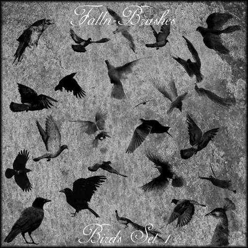 birds-brush-set-1