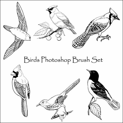 birds-photoshop-brush-set