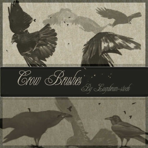 crow-brush