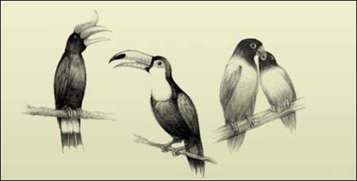 e-maniacs-birds-brushes