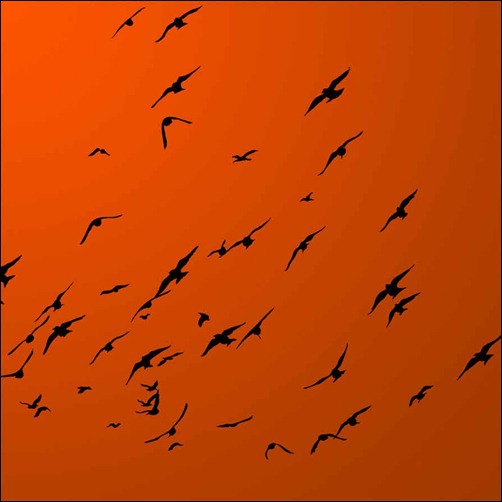 hi-res-bird-brushes[3]