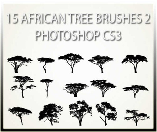 15-african-tree-brushes-