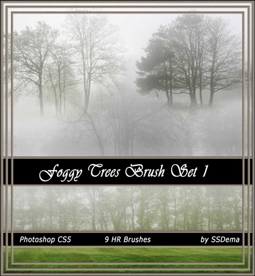 foggy-trees-brsuhs-set