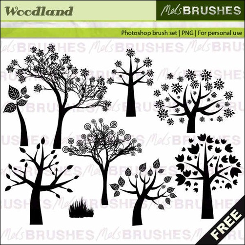 woodland-brushes