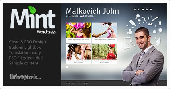 Mint - vCard WordPress Theme