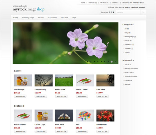 Mystockimages