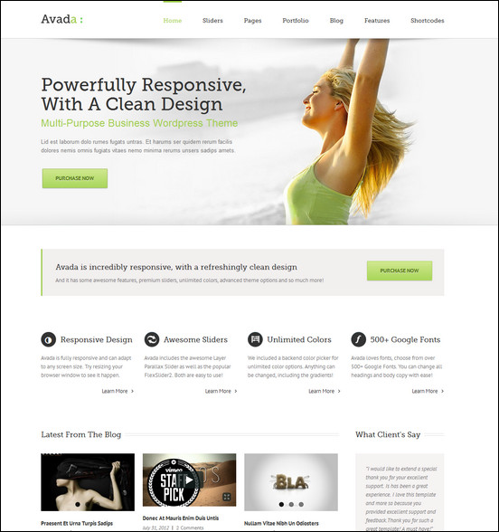 avada-responsive-multipurpose-theme
