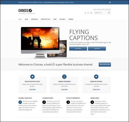 choices-responsive-business-and-portfolio