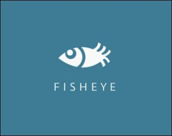 fisheye