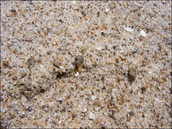 beach-sand