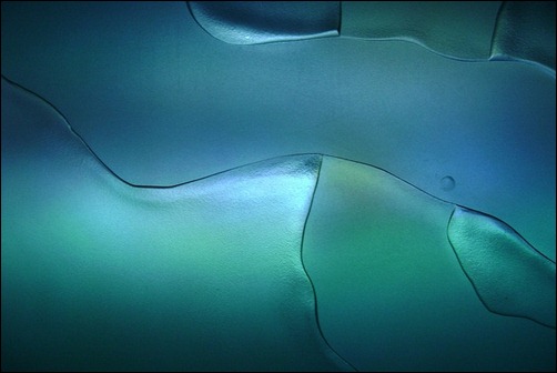 textured-glass-4