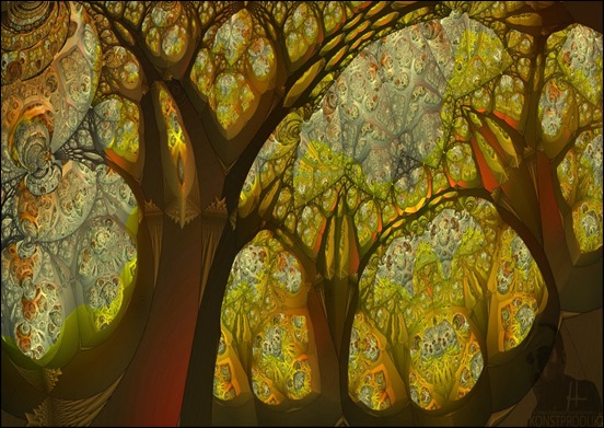 13th-secret-of-cathedral-woods