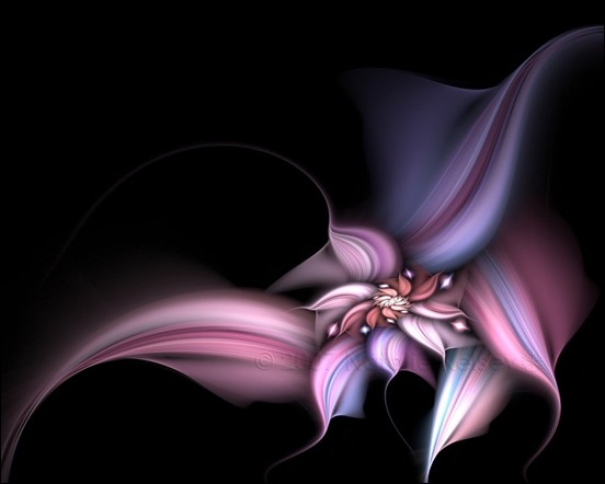 blossoming-joy