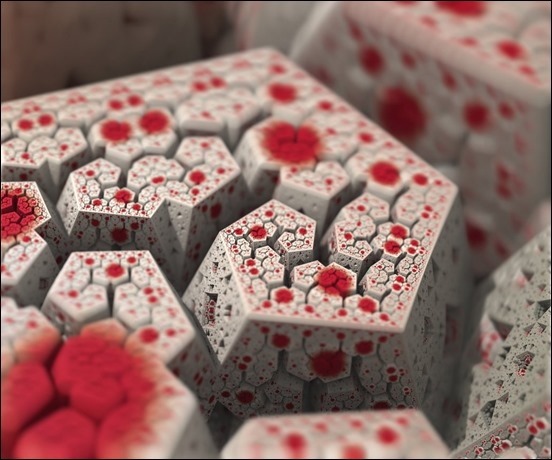 ifs-fractal-14