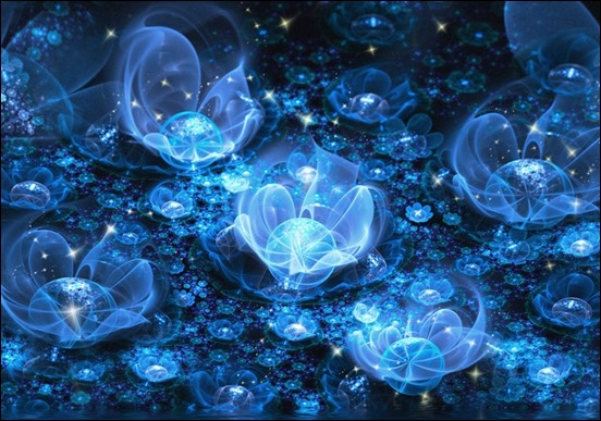 night-flowers