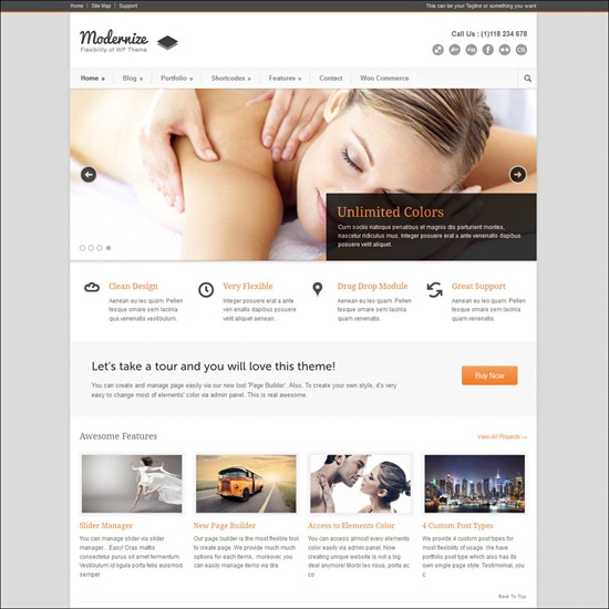 Modernize - Flexibility of WordPress